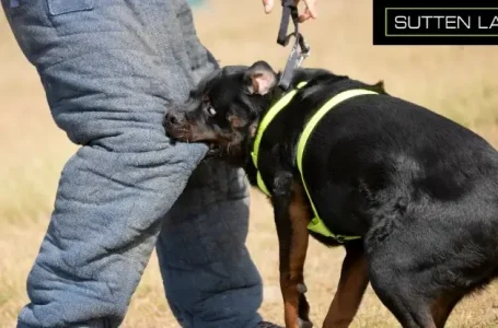 New Mexico Dog Bite Laws – Know Your Legal Rights