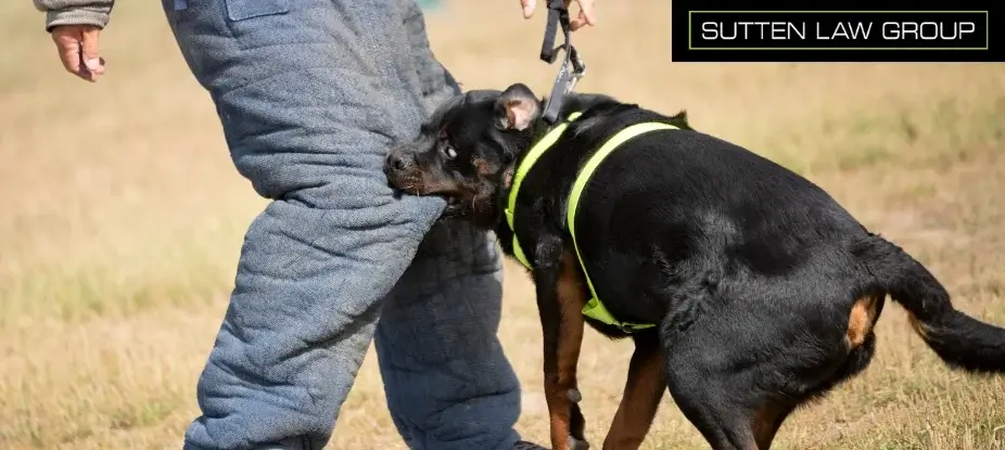 New Mexico Dog Bite Laws – Know Your Legal Rights